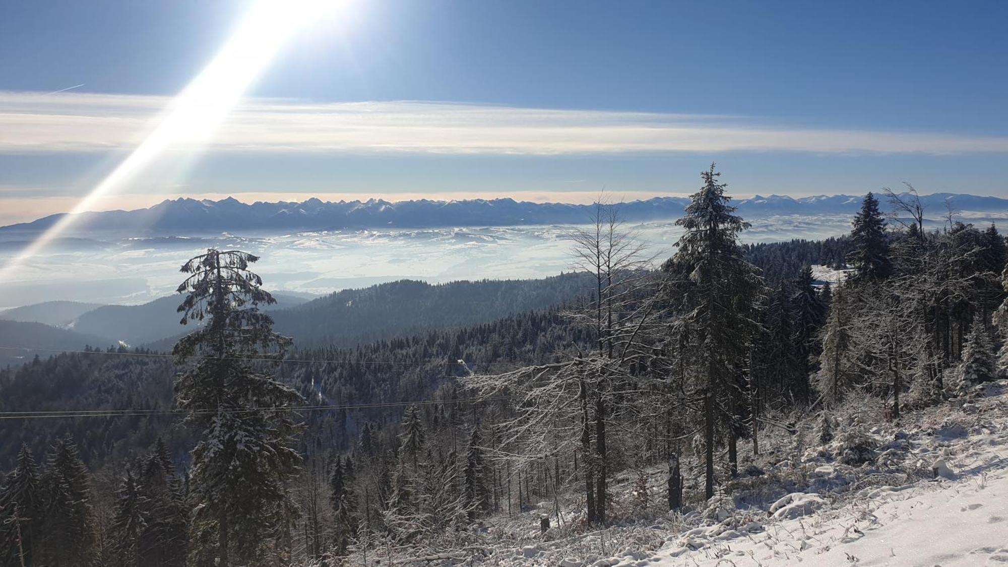 Lobrotno Gazdzina - Goralska Chalupa Na Wylacznosc บุโควินา ทัตซานสกา ภายนอก รูปภาพ